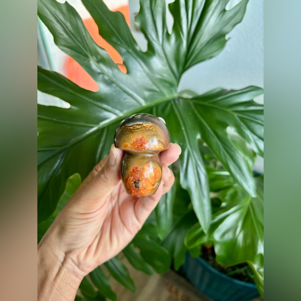 Polychrome Jasper Mushroom - Picture 1 of 5